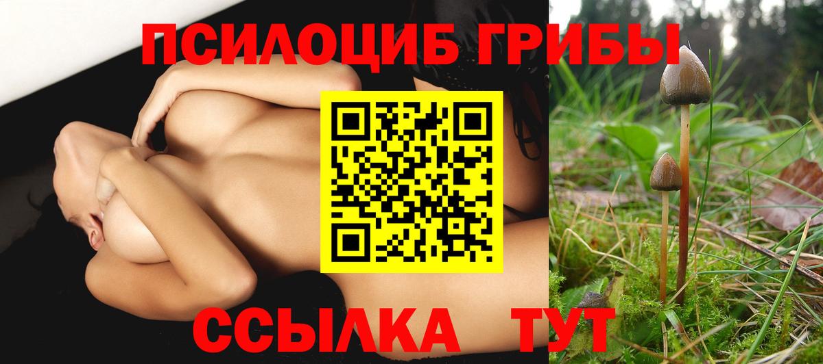 Галлюциногенные грибы Cubensis  Вход с VPN  Туймазы 