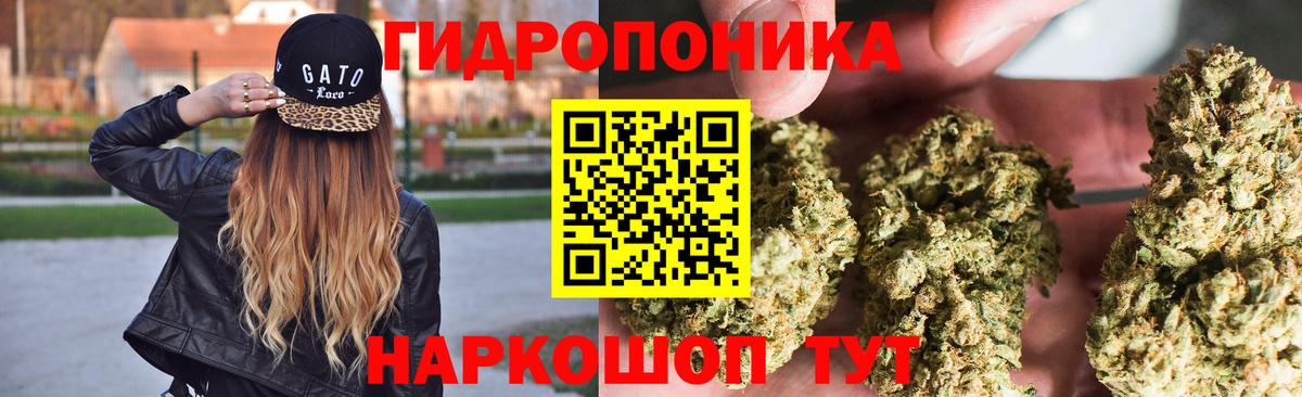Шишки марихуана конопля  Вход с VPN  Бошки марихуана планчик  Туймазы  Бошки Шишки MAZAR 